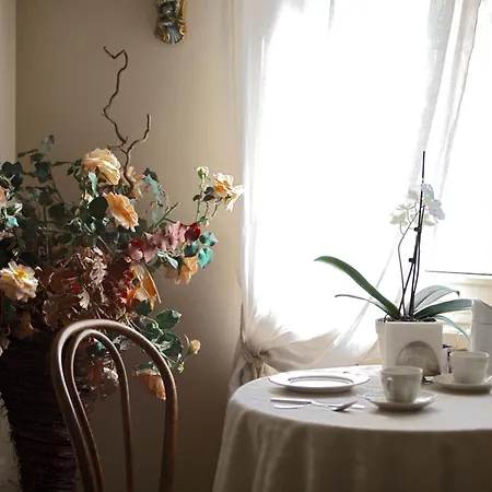 Dei Cinque Cerri 사소마르코니