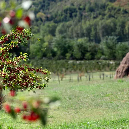 팜스테이 Dei Cinque Cerri 사소마르코니