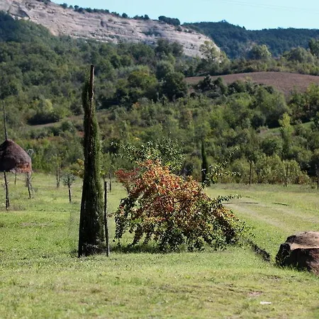 Dei Cinque Cerri Farm stay