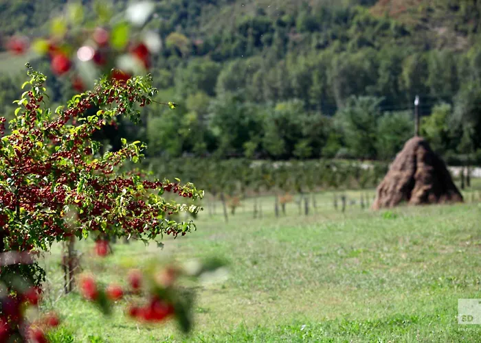 Séjour à la ferme Dei Cinque Cerri Sasso Marconi